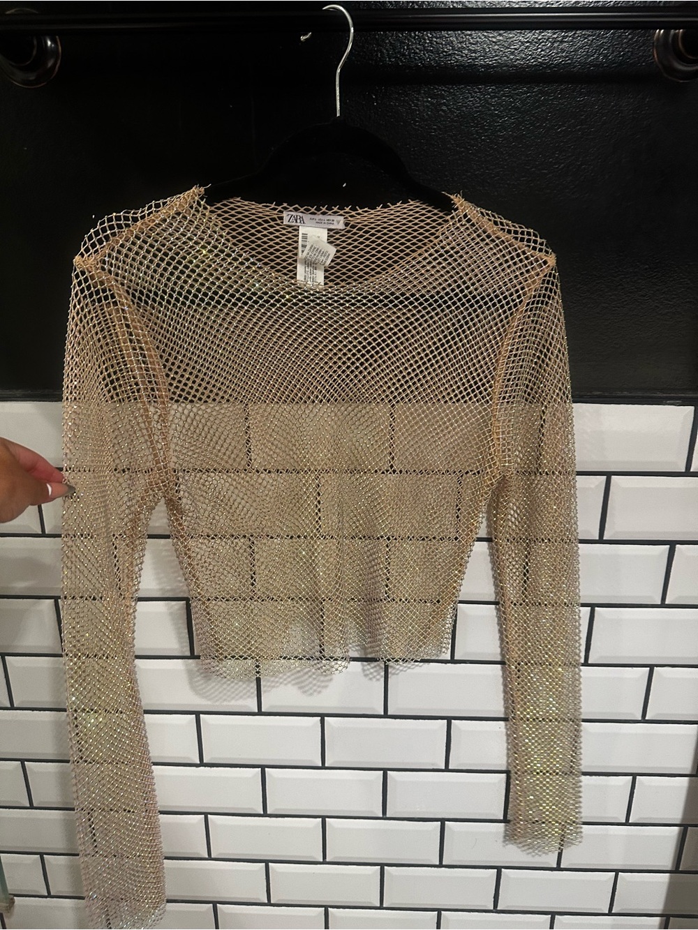 Zara Rhinestone Mesh Long-Sleeve Crop Top